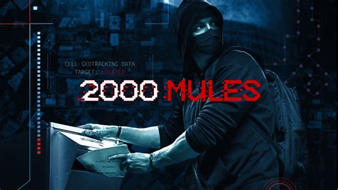 citizen free press official site 2000 mules